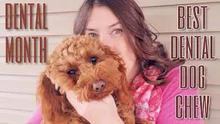 Dental Dog Chews! Get Naked Dental Sticks! Chewy.com Haul! #dentaldogchew