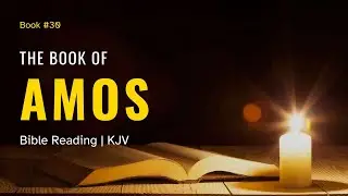 The Book of Amos | KJV Audio Bible Reading