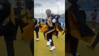 PVAMU Drum Majors 💂🏾&zwj;♀️💂🏾&zwj;♀️💂🏾&zwj;♀️💂🏾&zwj;♀️💜💛