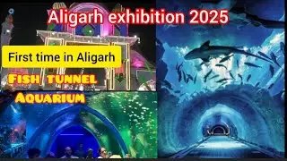 Aligarh Exhibition 2025 Fish Tunnel 🐠🐟 || first time in Aligarh fish tunnel||Aligarh Exhibition.