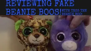Beanie Boo Review with Tess The Beanie Boo!