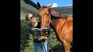 The Importance Of Estate Planning for the Equestrians