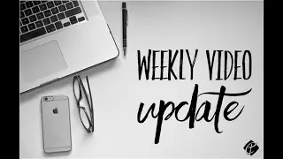 Weekly Video Update - January 29, 2026