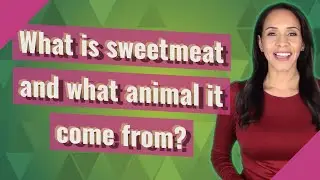 What is sweetmeat and what animal it come from?