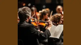 Soothing Symphony for Pet Relaxation