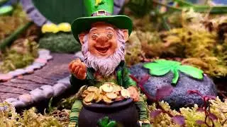 Saint Patricks Day Fairy Garden