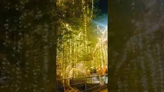 Dussehra...2k24....Lights###Thiruvananthapuram....Night life..🚘🚘🚘...drive...Beauty.## lights...