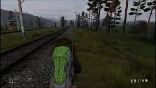 Escaping wolves
