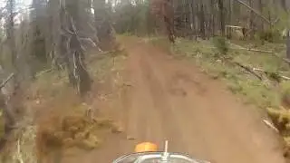 Big Lake trail 19
