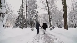 Walking In A Park Stock Video