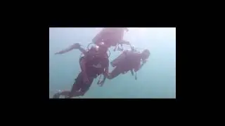 My first scuba dive with dive tribe in Phi Phi Islands, Thailand