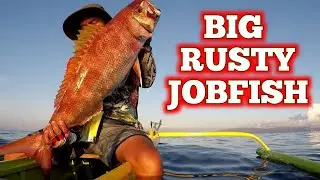 BIG RUSTY JOBFISH CATCH USING DEEPLINER SPY-V