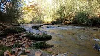 Relaxing River Sounds  Chattahoochee River in the Fall North Georgia Mountains  1 hour 4k