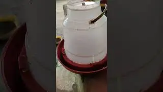 9 de enero de 2026