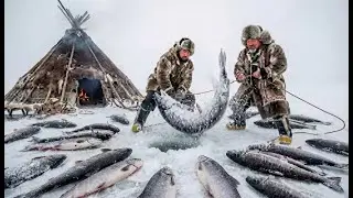 Battling −71°C to Feed a Frozen Village: The INSANE 5000kg Ice Fishing