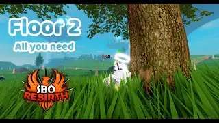 Guided tour of floor 2 all you need / Sword Blox Online Rebirth