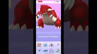Primal raids #pokemongo #pokemon #groudon #shorts
