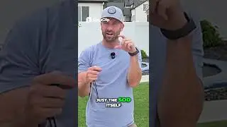 Lawn Screwdriver Test for Dry Grass!