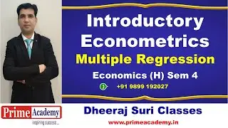 Multiple Regression PYQ, Introductory Econometrics, Economics (H) Semester 4