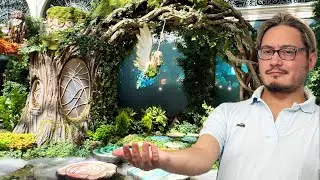 Bellagio Las Vegas - Autumn Conservatory Garden Update! #lasvegas