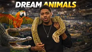 I MET EVERY LAST DREAM ANIMAL @SnakeDiscovery  SOUTHEAST REPTILE EXPO...