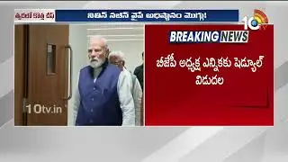 త్వరలో బీజేపీకి కొత్త చీఫ్.. | BJP to announce new party president | PM Modi | Amit Shah | 10TV
