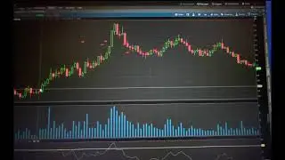 Day Trading $OPGN