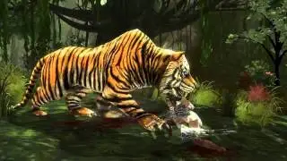 Martial Empire - Game Trailer