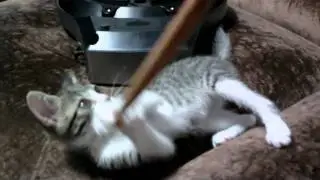IMAG0001.AVI