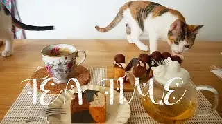 ココちゃんの柄（三毛猫）をイメージしたパウンドケーキ/TEA TIME/ヒトの晩酌に付き合う猫/ソファーの隙間を使って巧みに遊ぶ猫/生後6ヶ月のキャッツの日常/元保護猫