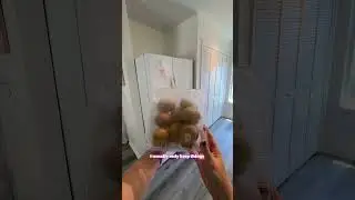 My Airbnb Guests Left a LOT of Food