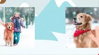 Animated Photo Christmas Card, Personalized Digital Christmas Video Card