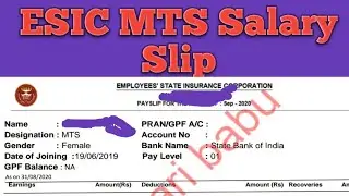 ESIC MTS salary slip (original)