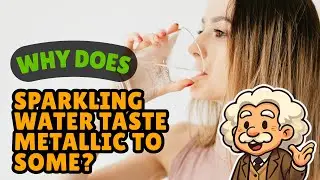 Why Does Sparkling Water Taste Metallic to Some? How Bubbles Trick Your Taste Buds [ID1323]
