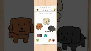 brain test all star level 19 solution