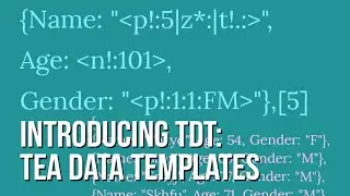 Introducing TDT TEA DATA TEMPLATES 