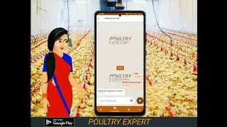 broiler poultry rate- poultry expet