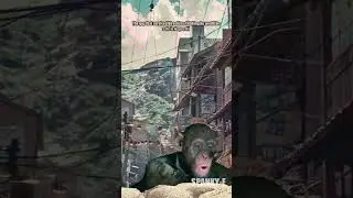 Oh no Monkey Meme | Tsutomu Yamaguchi #meme #ww2memes #memesdaily