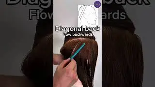 Hair Cutting ke Time Pe Different Types of Hair Sections