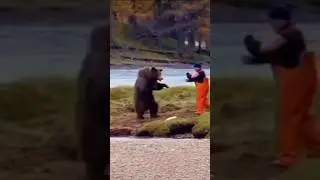 Think you can escape a bear? Watch this first #animals #facts #shorts #funnyvideos