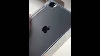 iPad Pro 11 2024 Case