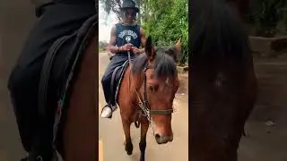 THE RIDING STAR! ⭐️🌟 SUBSCRIBE and get to see my next video 💯🎸 ZEMAN to the 🌍
