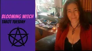 Tarot Tuesday 28 6 22 // Blooming Witch