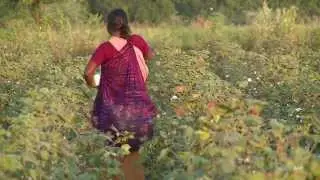 Tracing MGNREGA&rsquo;s decline