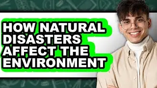 How Natural Disasters Affect the Environment (easy Method)