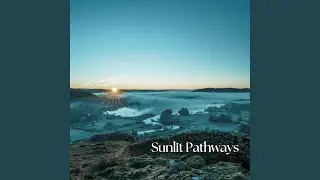 Sunlit Pathways
