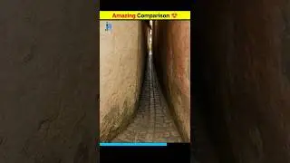 Most interesting Comparison