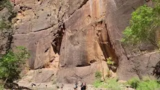 zion creek walk#7