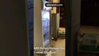 ABD SD Series Rotary Dampers For Freezer Flip Door Self-Closing Damping
