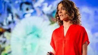 How we can predict the future of biodiversity using our past | Helene Morlon